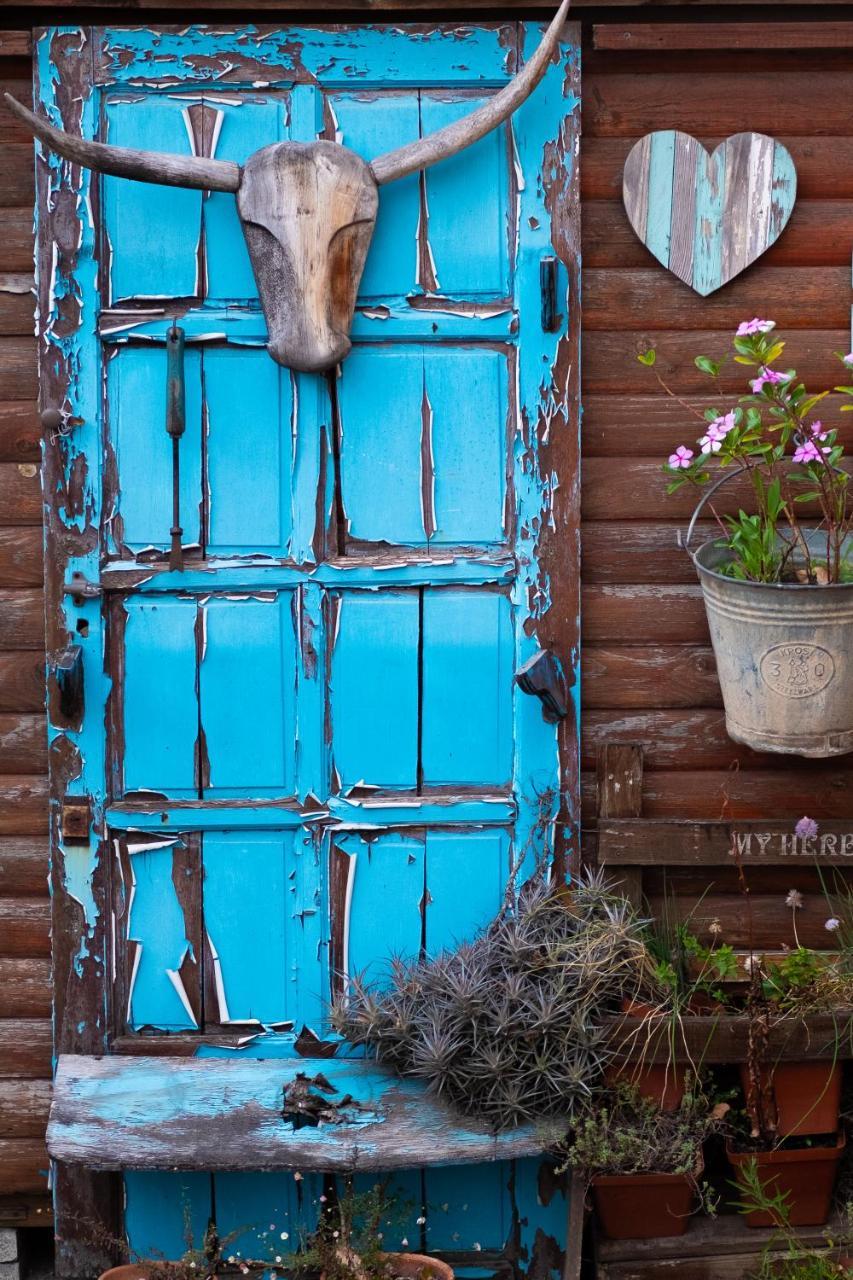 Treetops Guesthouse Πορτ Ελίζαμπεθ Εξωτερικό φωτογραφία
